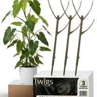 Twigs GA - Stackable Plant Support Stakes - 17"++