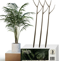 Twigs GA - Original Plant Support Stakes for Plants - 22" L,
