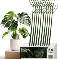 Twigs GA - Original Plant Support Stakes for Plants - 22" L,