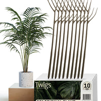 Twigs GA - Original Plant Support Stakes for Plants - 22" L,