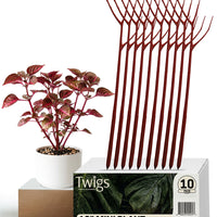 Twigs GA - Mini Plant Support Stakes for Small Plants -10 Pack, 12" L