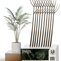 Twigs GA - Mini Plant Support Stakes for Small Plants -10 Pack, 12" L