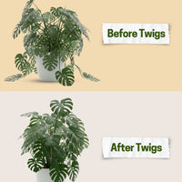Twigs GA - Stackable Plant Support Stakes - 17"++