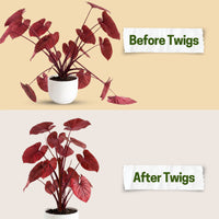 Twigs GA - Stackable Plant Support Stakes - 17"++