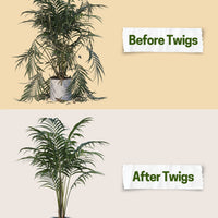 Twigs GA - Original Plant Support Stakes for Plants - 22" L,