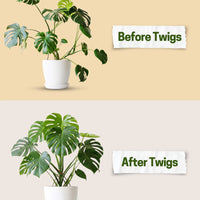 Twigs GA - Original Plant Support Stakes for Plants - 22" L,