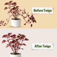 Twigs GA - Mini Plant Support Stakes for Small Plants -10 Pack, 12" L