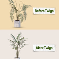Twigs GA - Mini Plant Support Stakes for Small Plants -10 Pack, 12" L