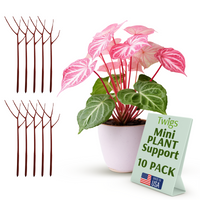 Twigs GA - Mini Plant Support Stakes for Small Plants -10 Pack, 12" L