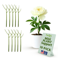 Twigs GA - Mini Plant Support Stakes for Small Plants -10 Pack, 12" L