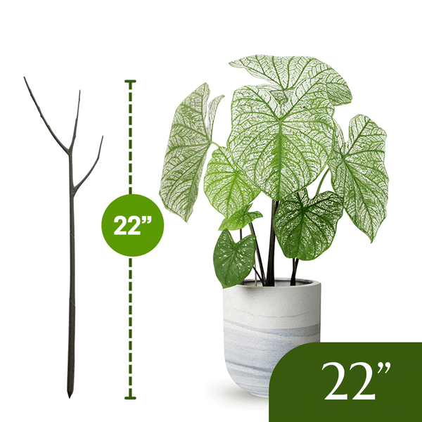Twigs GA - Original Plant Support Stakes for Plants - 22" L,