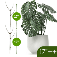 Twigs GA - Stackable Plant Support Stakes - 17"++